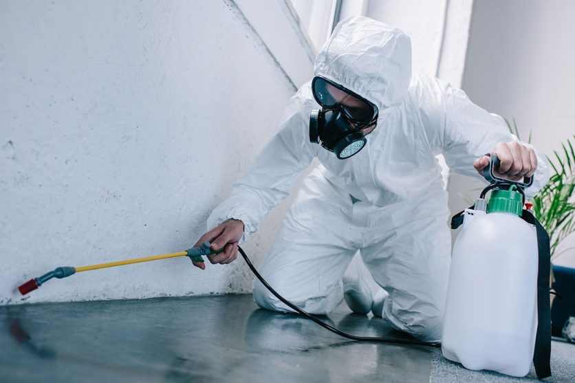 Commercial Pest Control Services: Maintaining Cleanliness and Productivity in Your Business